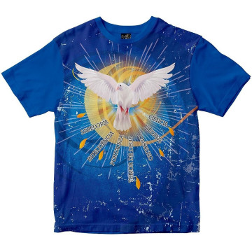 Camiseta Espírito Santo Crisma Rainha do Brasil